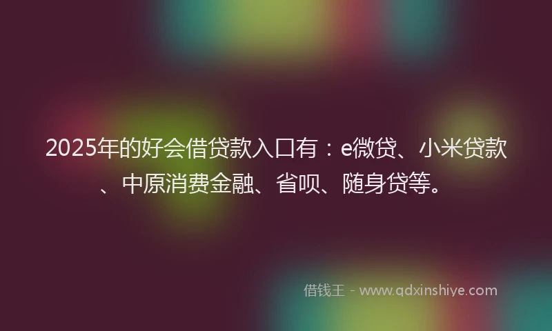 2025年的好会借贷款入口有：e微贷、小米贷款、中原消费金融、省呗、随身贷等。