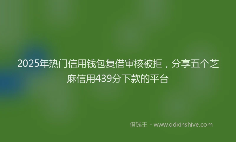 2025年热门信用钱包复借审核被拒，分享五个芝麻信用439分下款的平台