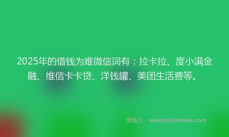2025年的借钱为难微信词有：拉卡拉、度小满金融、维信卡卡贷、洋钱罐、美团生活费等。