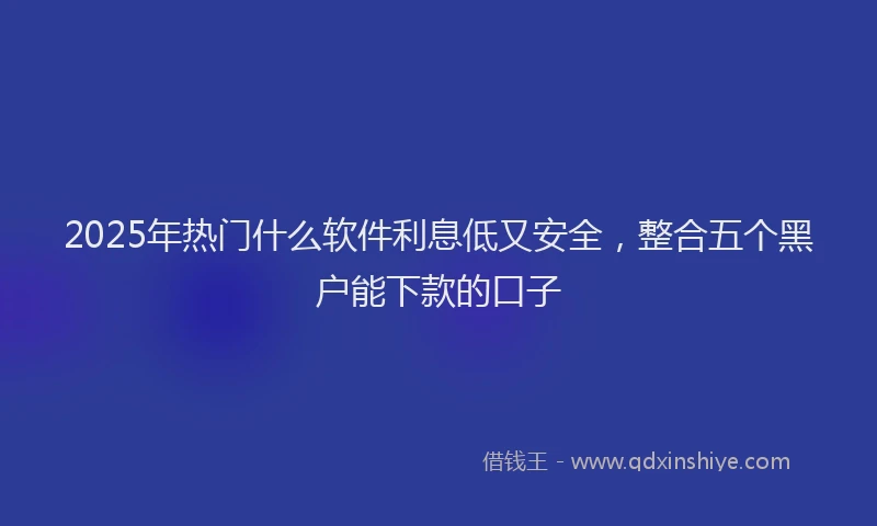 2025年热门什么软件利息低又安全，整合五个黑户能下款的口子