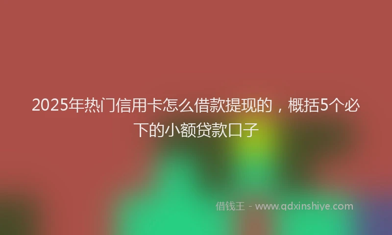 2025年热门信用卡怎么借款提现的，概括5个必下的小额贷款口子