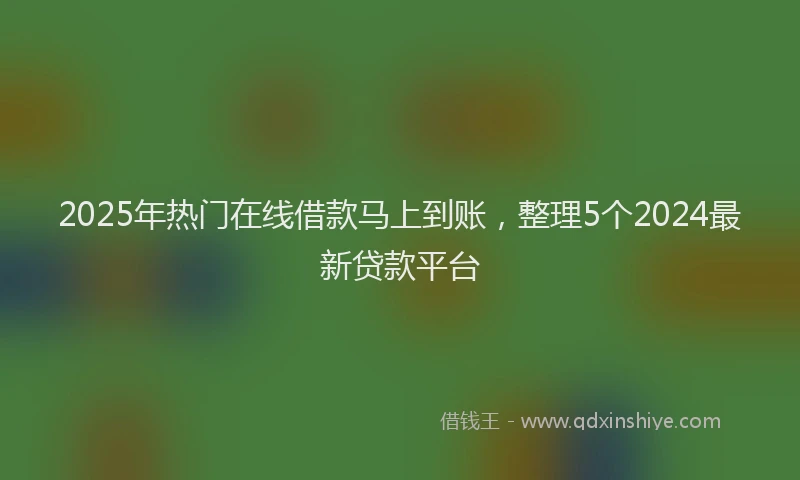 2025年热门在线借款马上到账，整理5个2024最新贷款平台
