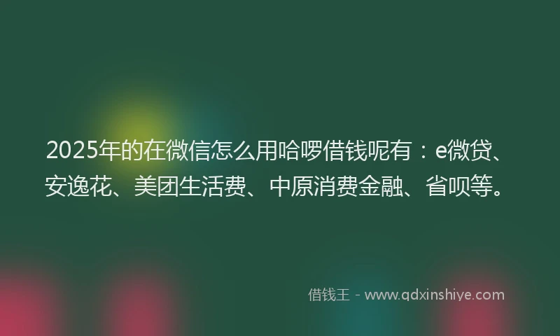 2025年的在微信怎么用哈啰借钱呢有：e微贷、安逸花、美团生活费、中原消费金融、省呗等。