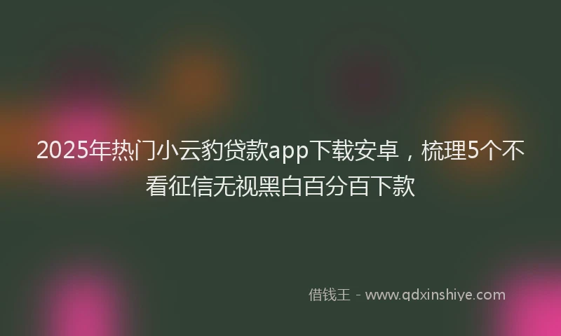 2025年热门小云豹贷款app下载安卓，梳理5个不看征信无视黑白百分百下款