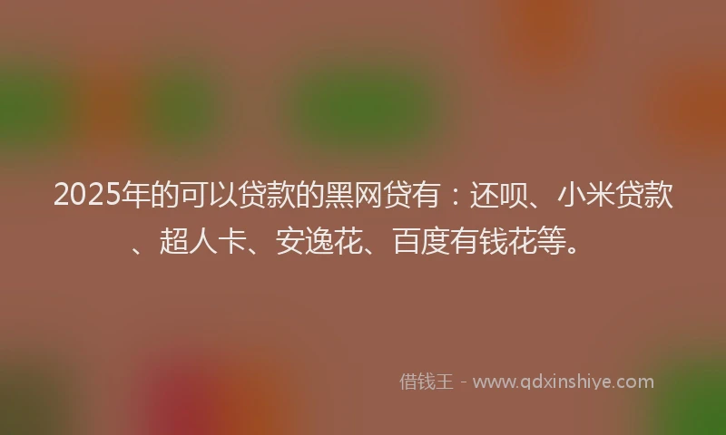 2025年的可以贷款的黑网贷有：还呗、小米贷款、超人卡、安逸花、百度有钱花等。