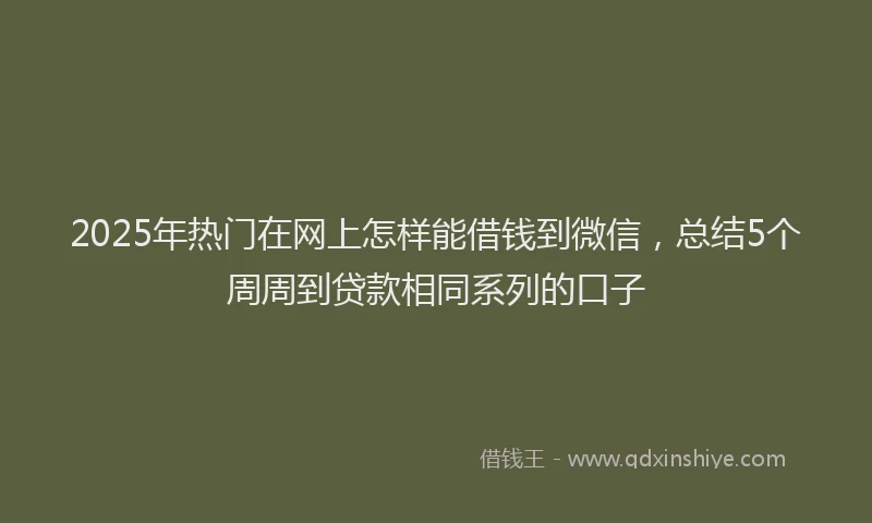 2025年热门在网上怎样能借钱到微信，总结5个周周到贷款相同系列的口子