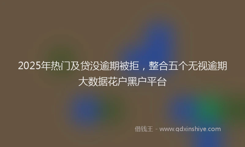 2025年热门及贷没逾期被拒，整合五个无视逾期大数据花户黑户平台