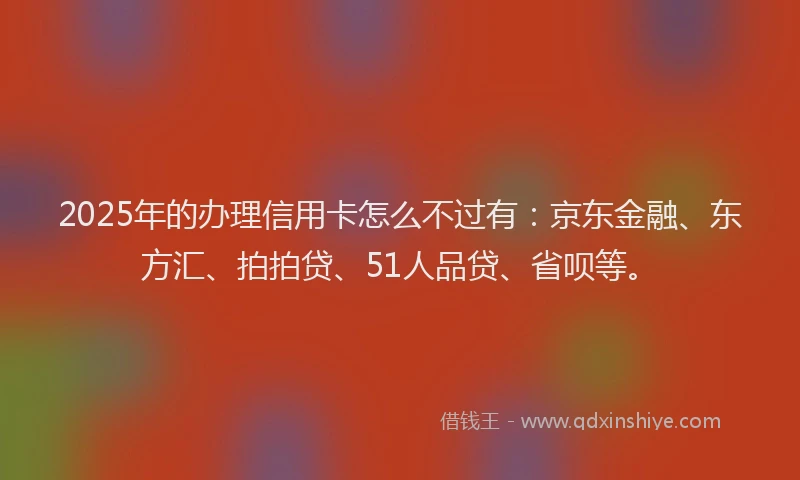 2025年的办理信用卡怎么不过有：京东金融、东方汇、拍拍贷、51人品贷、省呗等。