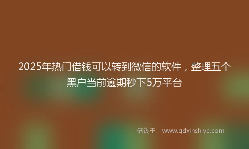 2025年热门借钱可以转到微信的软件,整理五个黑户当前逾期秒下5万平台