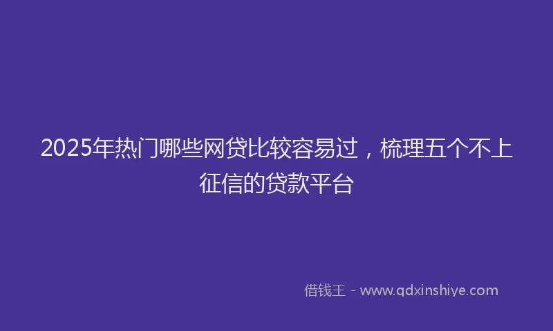 2025年热门哪些网贷比较容易过，梳理五个不上征信的贷款平台