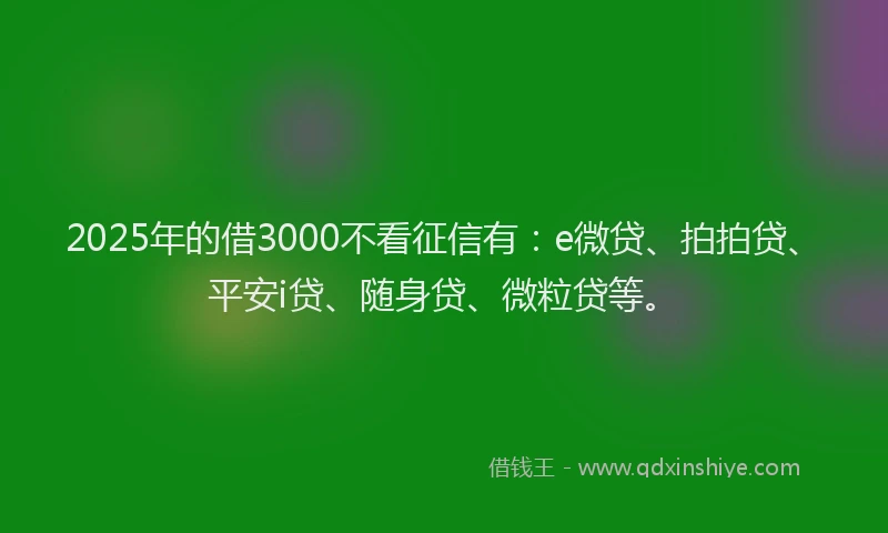2025年的借3000不看征信有：e微贷、拍拍贷、平安i贷、随身贷、微粒贷等。