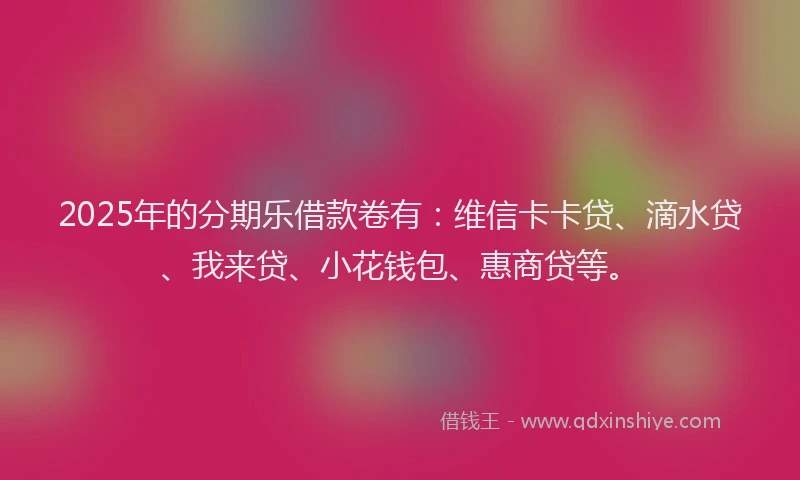 2025年的分期乐借款卷有：维信卡卡贷、滴水贷、我来贷、小花钱包、惠商贷等。