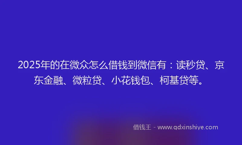2025年的在微众怎么借钱到微信有：读秒贷、京东金融、微粒贷、小花钱包、柯基贷等。