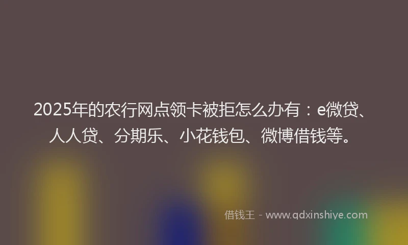 2025年的农行网点领卡被拒怎么办有：e微贷、人人贷、分期乐、小花钱包、微博借钱等。