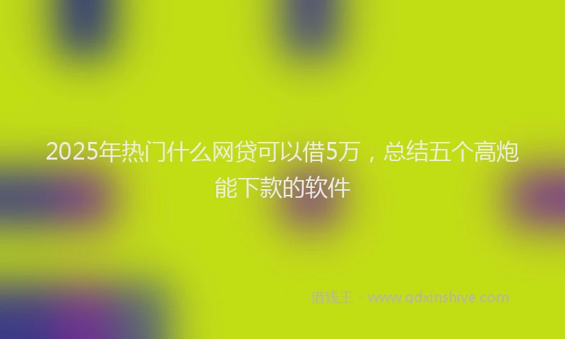 2025年热门什么网贷可以借5万，总结五个高炮能下款的软件