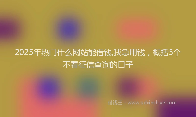 2025年热门什么网站能借钱,我急用钱，概括5个不看征信查询的口子