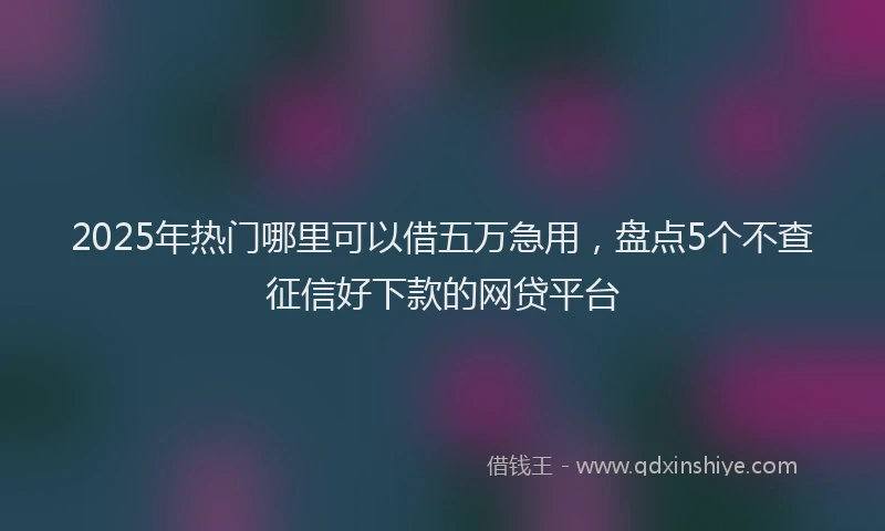 2025年热门哪里可以借五万急用，盘点5个不查征信好下款的网贷平台