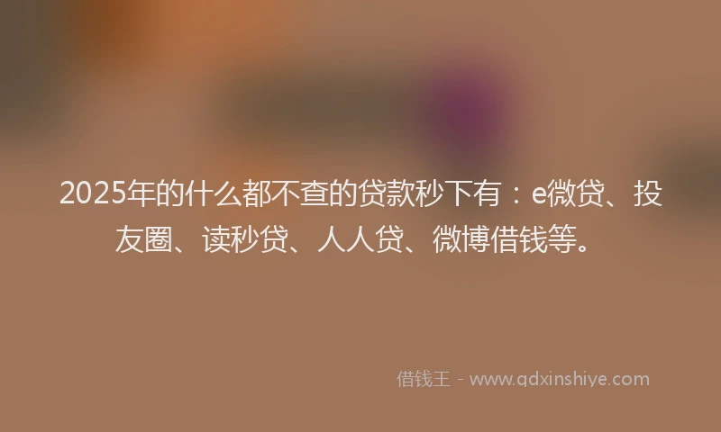 2025年的什么都不查的贷款秒下有：e微贷、投友圈、读秒贷、人人贷、微博借钱等。