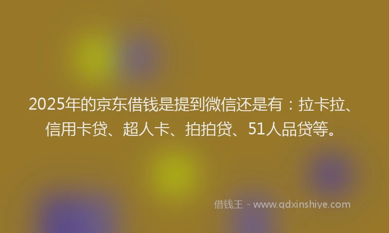 2025年的京东借钱是提到微信还是有：拉卡拉、信用卡贷、超人卡、拍拍贷、51人品贷等。