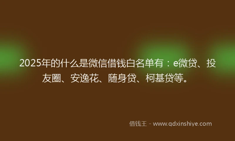 2025年的什么是微信借钱白名单有：e微贷、投友圈、安逸花、随身贷、柯基贷等。