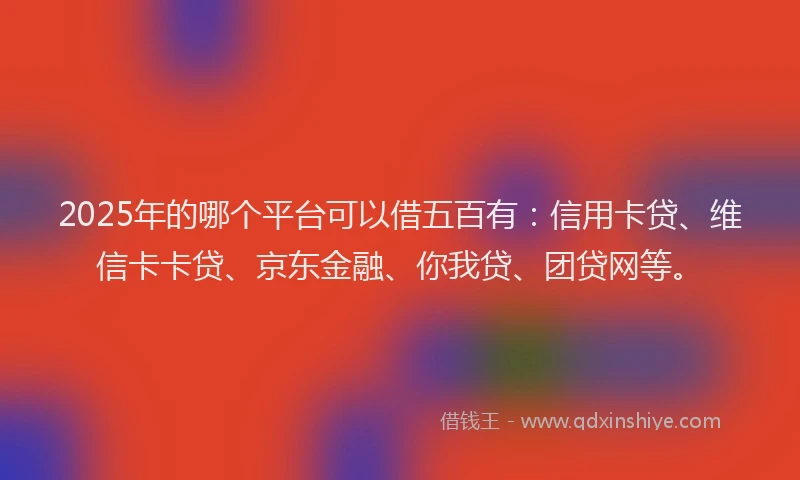 2025年的哪个平台可以借五百有：信用卡贷、维信卡卡贷、京东金融、你我贷、团贷网等。