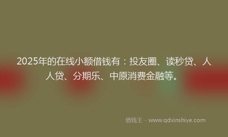 2025年的在线小额借钱有：投友圈、读秒贷、人人贷、分期乐、中原消费金融等。