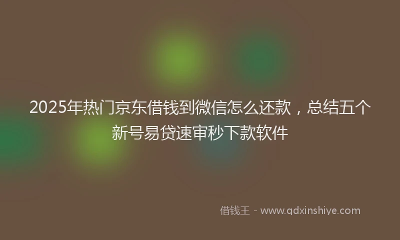 2025年热门京东借钱到微信怎么还款，总结五个新号易贷速审秒下款软件