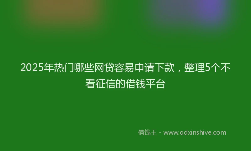 2025年热门哪些网贷容易申请下款，整理5个不看征信的借钱平台