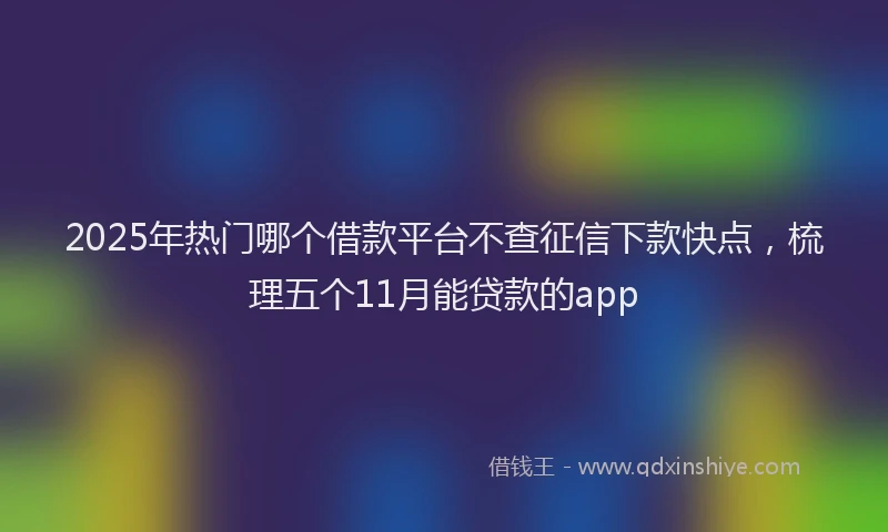 2025年热门哪个借款平台不查征信下款快点，梳理五个11月能贷款的app
