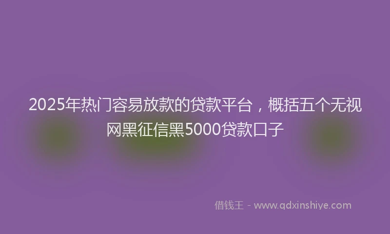 2025年热门容易放款的贷款平台，概括五个无视网黑征信黑5000贷款口子