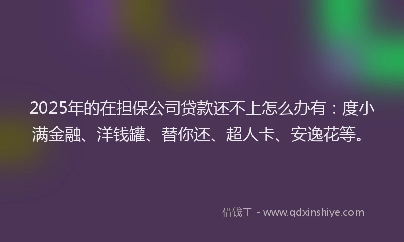 2025年的在担保公司贷款还不上怎么办有：度小满金融、洋钱罐、替你还、超人卡、安逸花等。
