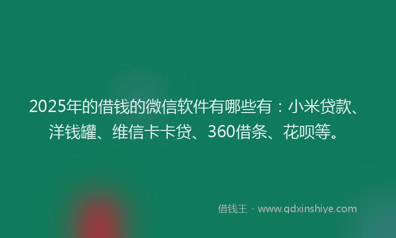 2025年的借钱的微信软件有哪些有：小米贷款、洋钱罐、维信卡卡贷、360借条、花呗等。