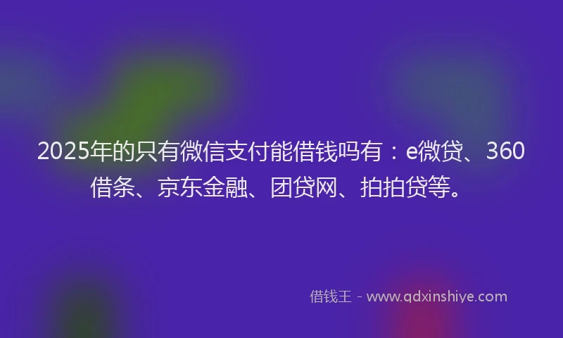 2025年的只有微信支付能借钱吗有：e微贷、360借条、京东金融、团贷网、拍拍贷等。
