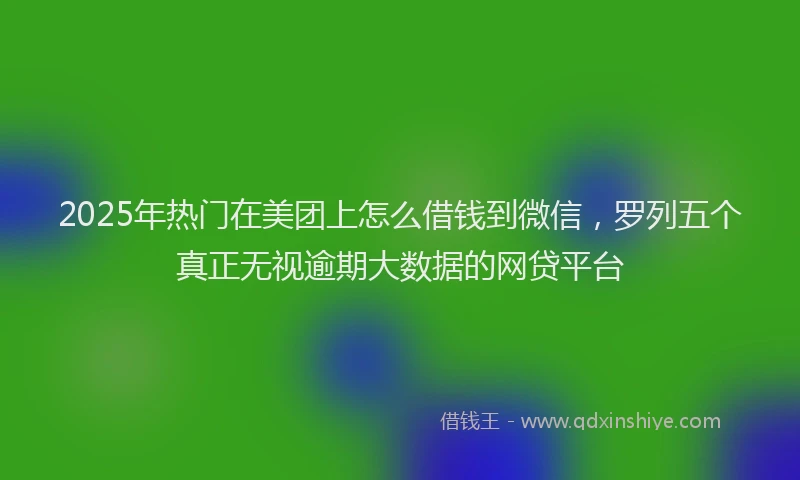 2025年热门在美团上怎么借钱到微信，罗列五个真正无视逾期大数据的网贷平台