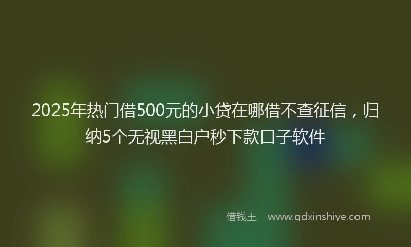 2025年热门借500元的小贷在哪借不查征信，归纳5个无视黑白户秒下款口子软件