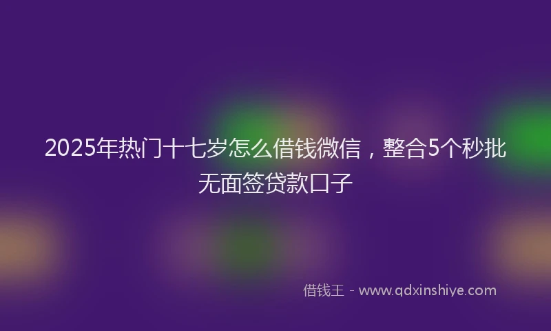 2025年热门十七岁怎么借钱微信，整合5个秒批无面签贷款口子