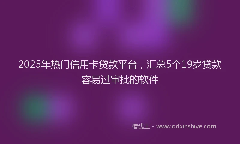 2025年热门信用卡贷款平台，汇总5个19岁贷款容易过审批的软件