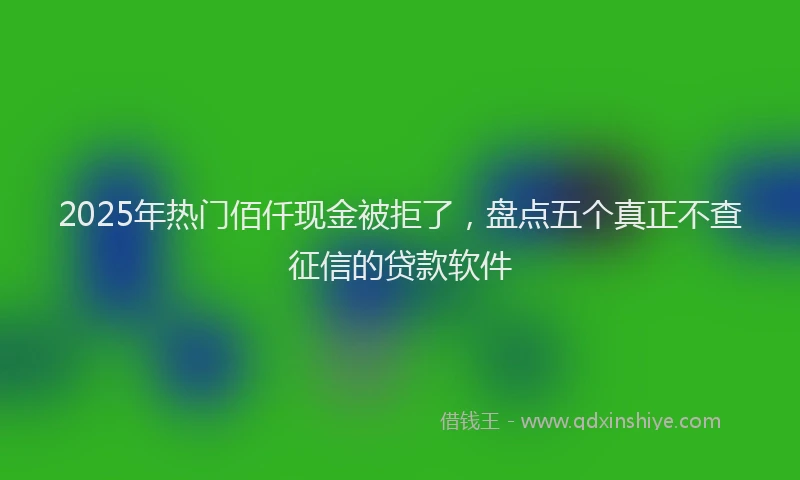 2025年热门佰仟现金被拒了，盘点五个真正不查征信的贷款软件