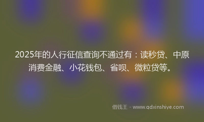 2025年的人行征信查询不通过有：读秒贷、中原消费金融、小花钱包、省呗、微粒贷等。