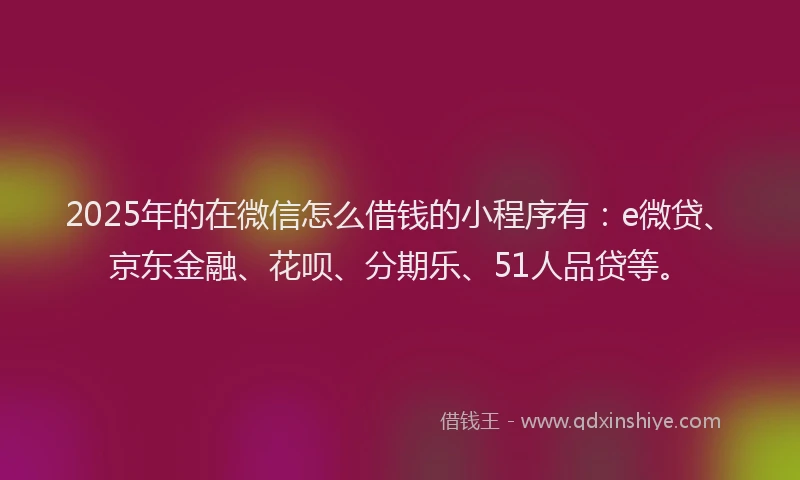 2025年的在微信怎么借钱的小程序有：e微贷、京东金融、花呗、分期乐、51人品贷等。