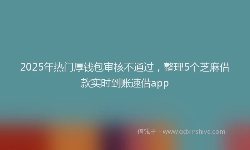 2025年热门厚钱包审核不通过，整理5个芝麻借款实时到账速借app
