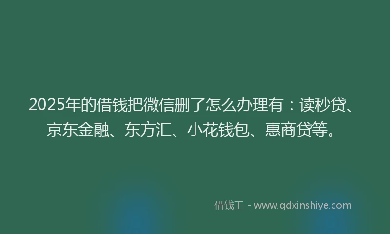 2025年的借钱把微信删了怎么办理有：读秒贷、京东金融、东方汇、小花钱包、惠商贷等。