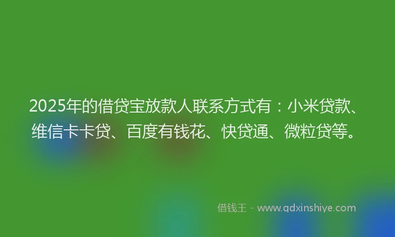 2025年的借贷宝放款人联系方式有：小米贷款、维信卡卡贷、百度有钱花、快贷通、微粒贷等。