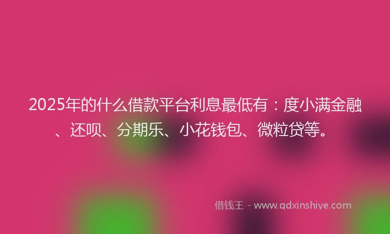 2025年的什么借款平台利息最低有：度小满金融、还呗、分期乐、小花钱包、微粒贷等。