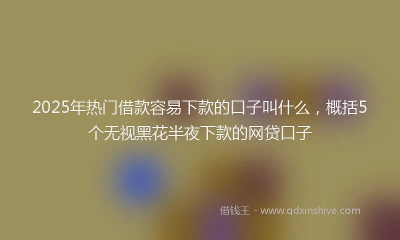 2025年热门借款容易下款的口子叫什么，概括5个无视黑花半夜下款的网贷口子