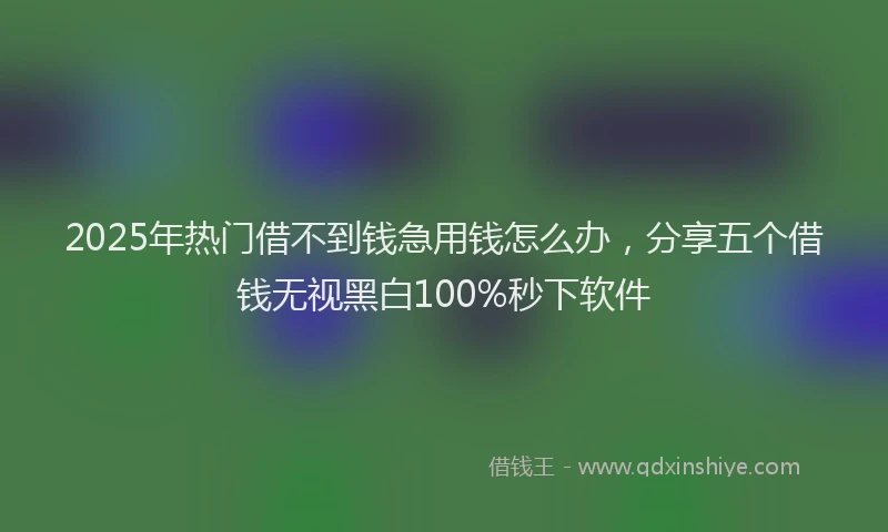 2025年热门借不到钱急用钱怎么办，分享五个借钱无视黑白100%秒下软件