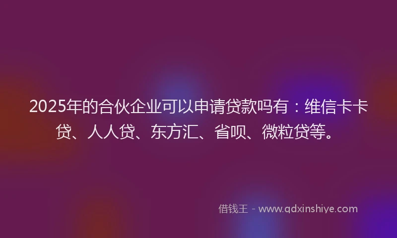 2025年的合伙企业可以申请贷款吗有：维信卡卡贷、人人贷、东方汇、省呗、微粒贷等。