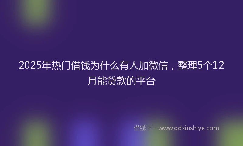 2025年热门借钱为什么有人加微信，整理5个12月能贷款的平台