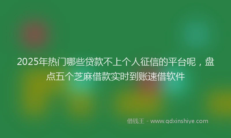 2025年热门哪些贷款不上个人征信的平台呢，盘点五个芝麻借款实时到账速借软件