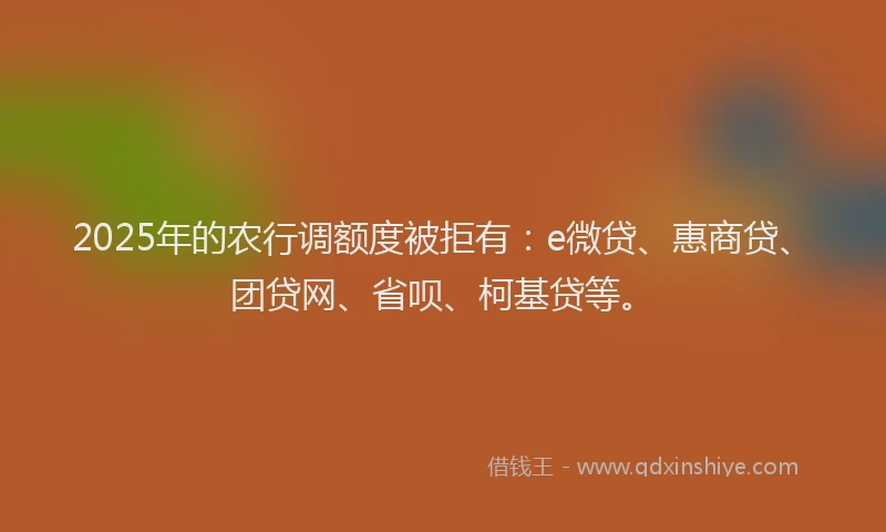 2025年的农行调额度被拒有：e微贷、惠商贷、团贷网、省呗、柯基贷等。